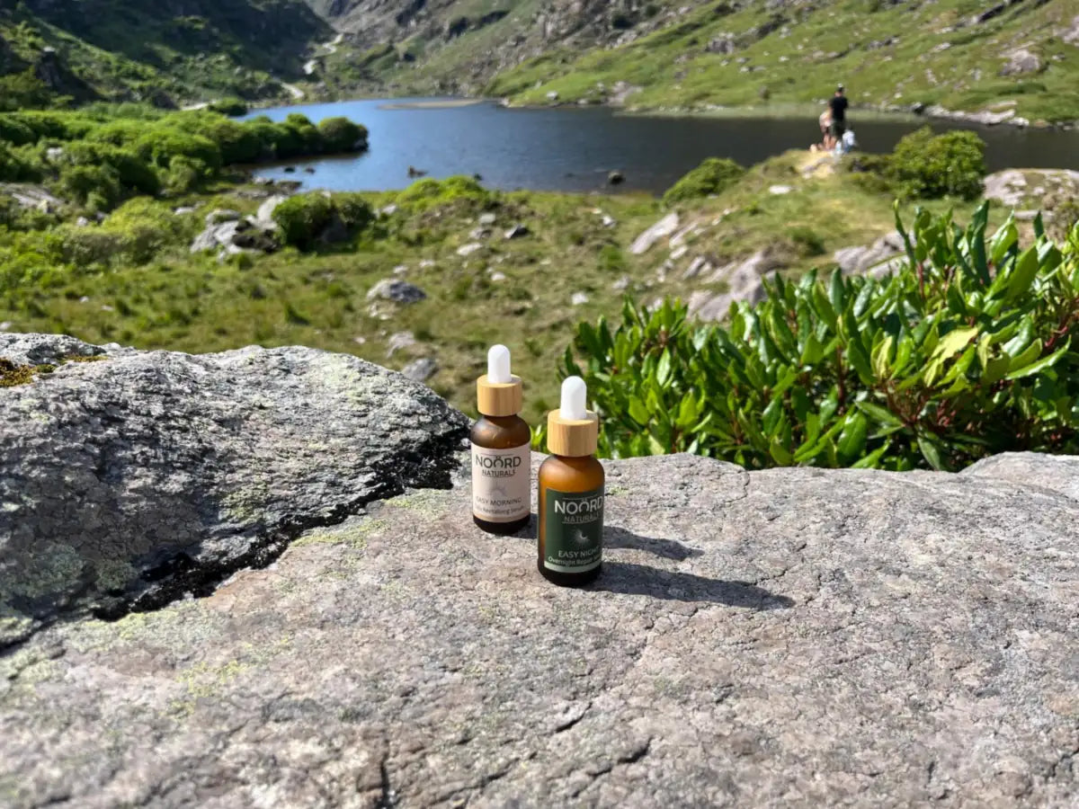 Noord Easy Morning and Easy Night serums on a rock outdoors