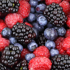 Nodic Berries