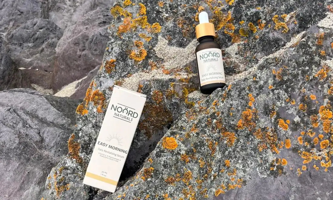 Noord Easy Morning serum and box on a lichen-covered rock